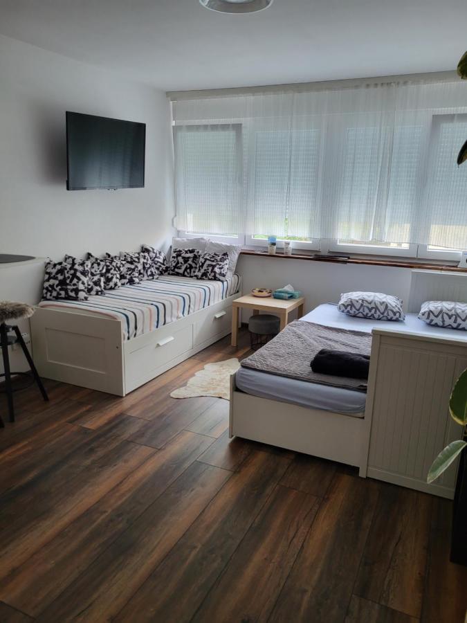Studio Apartman Tamai Kutina Exterior foto